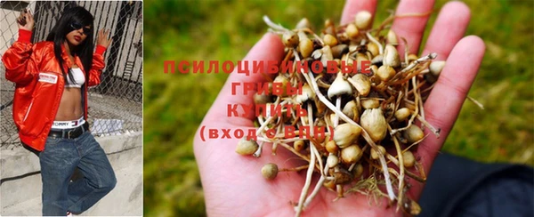 винт Новокубанск